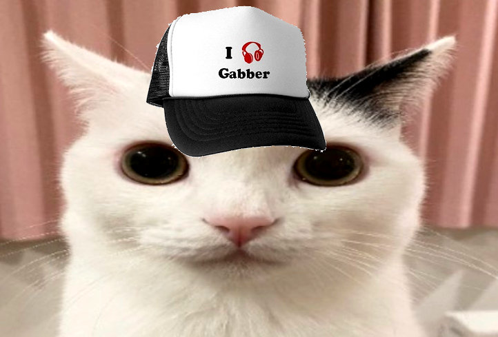 SOUND BLAST INCOMING (an emotional picture of a cat showing its passion for the gabber music genre originating from the netherlands)